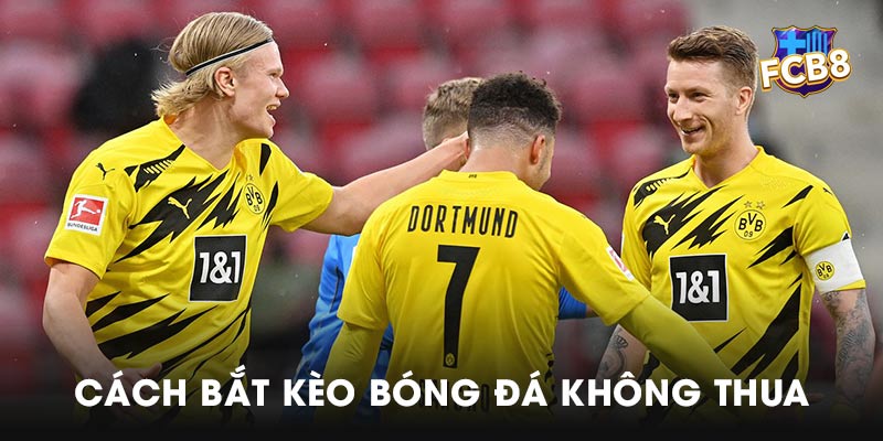 Hướng dẫn cá độ qua cách bắt kèo bóng đá không thua