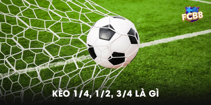 Kèo 1/4, 1/2, 3/4 là gì