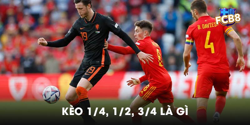 Kèo 1/4, 1/2, 3/4 là gì
